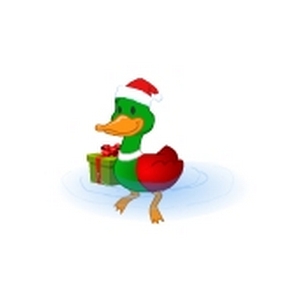 Paddling Santa Duck